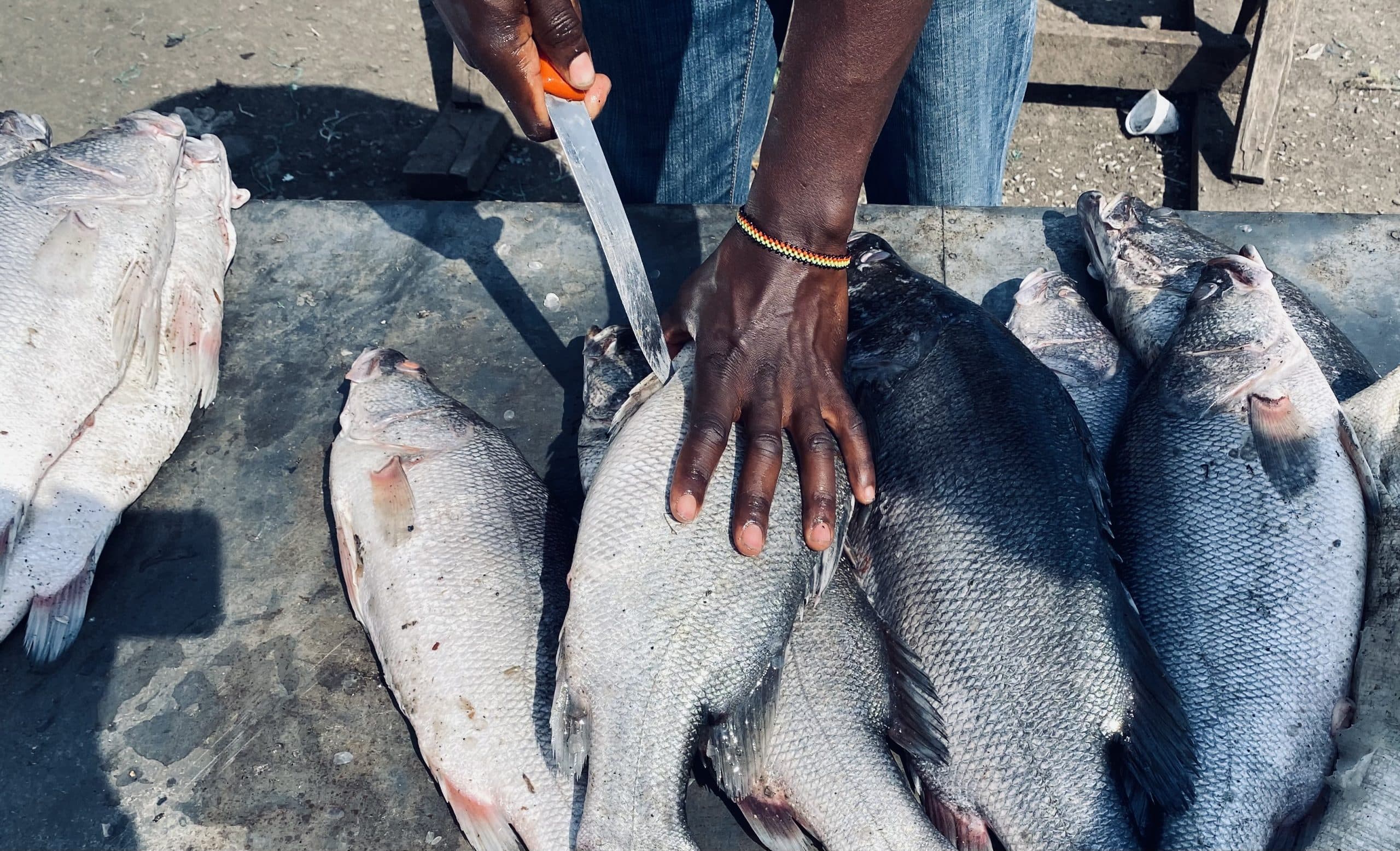 Fishermen with fresh fish boxes on ice