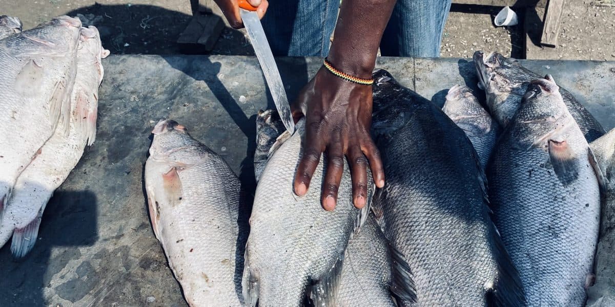 Keep IT Cool unlocks more funding to support small scale fisherfolks