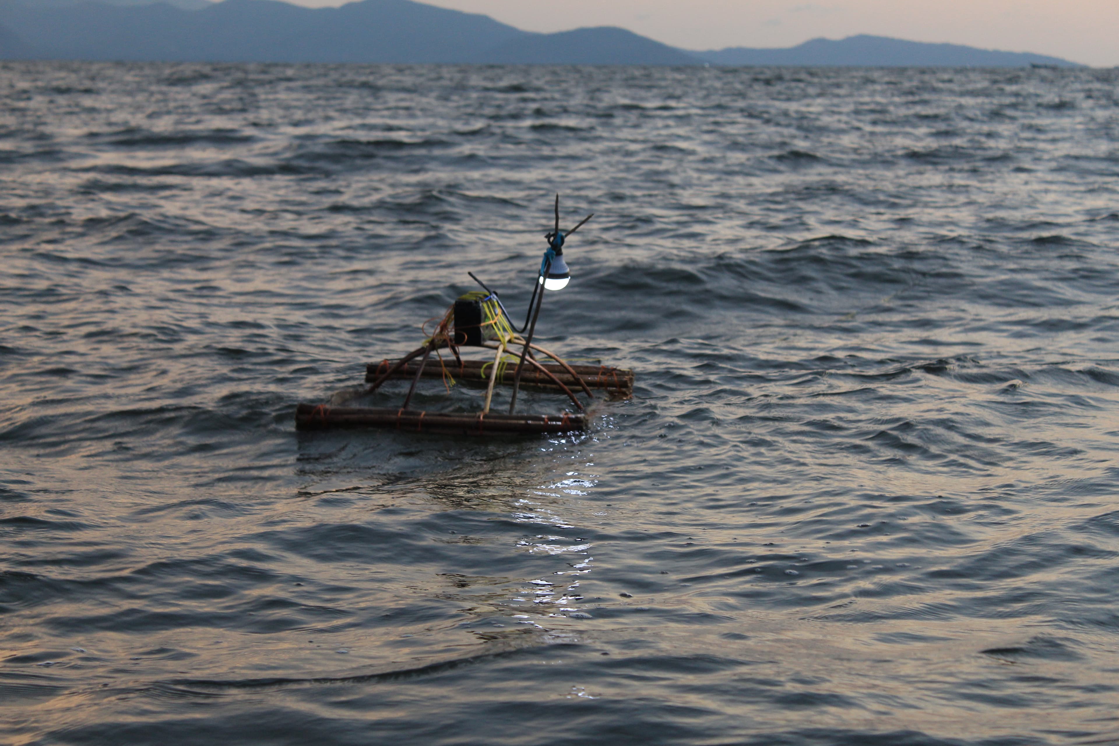 Fisherfolk handling fresh catch